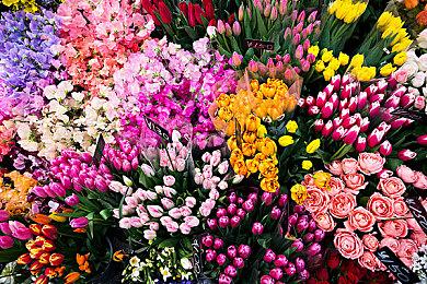 微软掌机价格提前泄露！ROG Xbox Ally系列定价曝光  