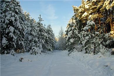 《涡轮高尔夫赛车》4月4日发售 EA版获特别好评